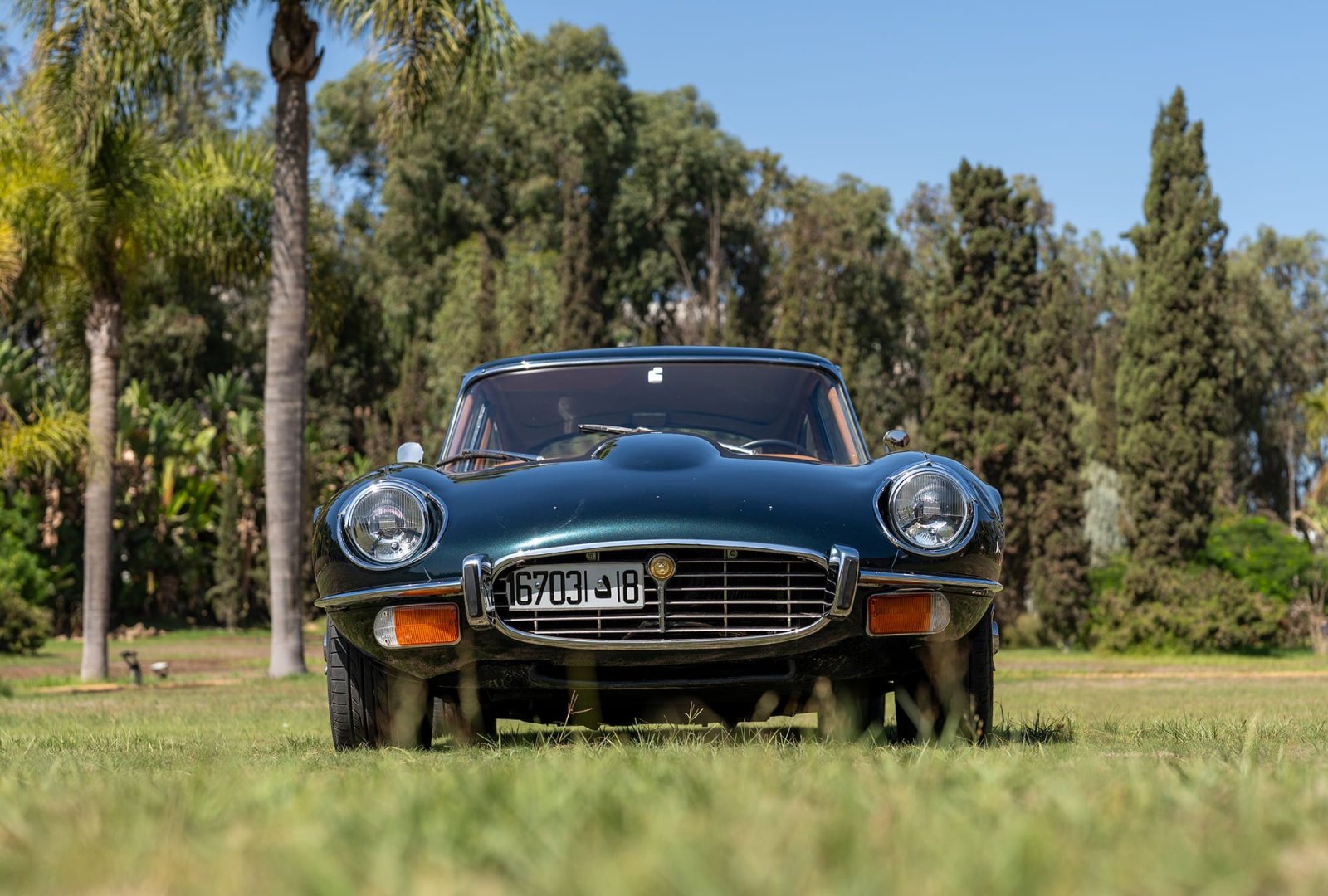 Jaguar E-Type V12 : face