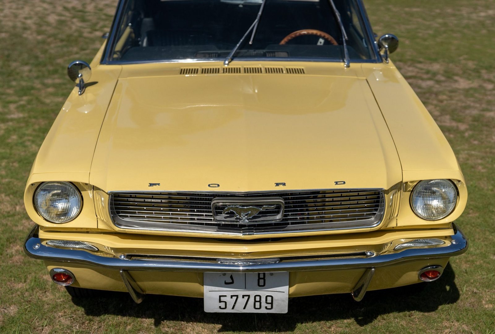 Ford Mustang : face
