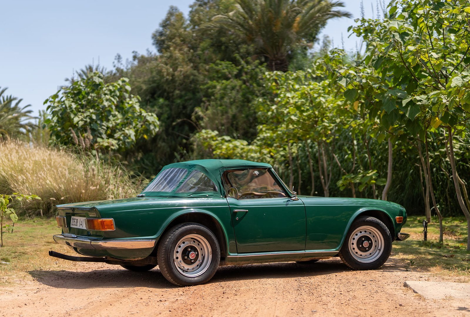 Triumph TR6 : trois quarts arrière
