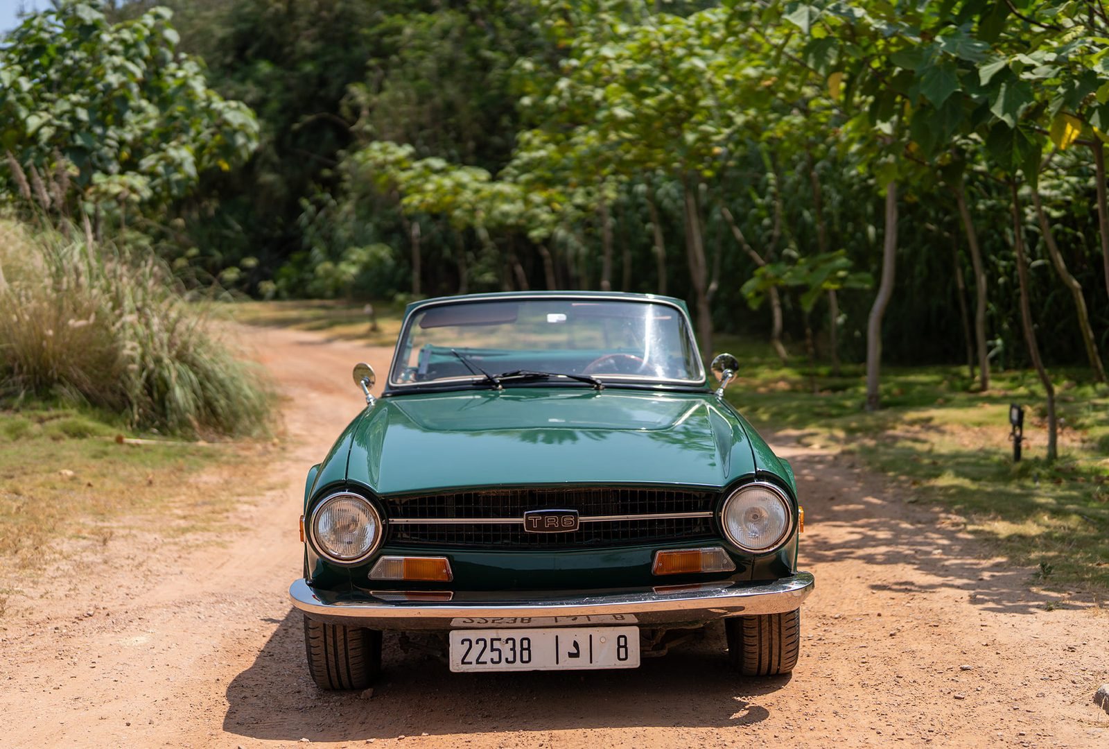 Triumph TR6 : face