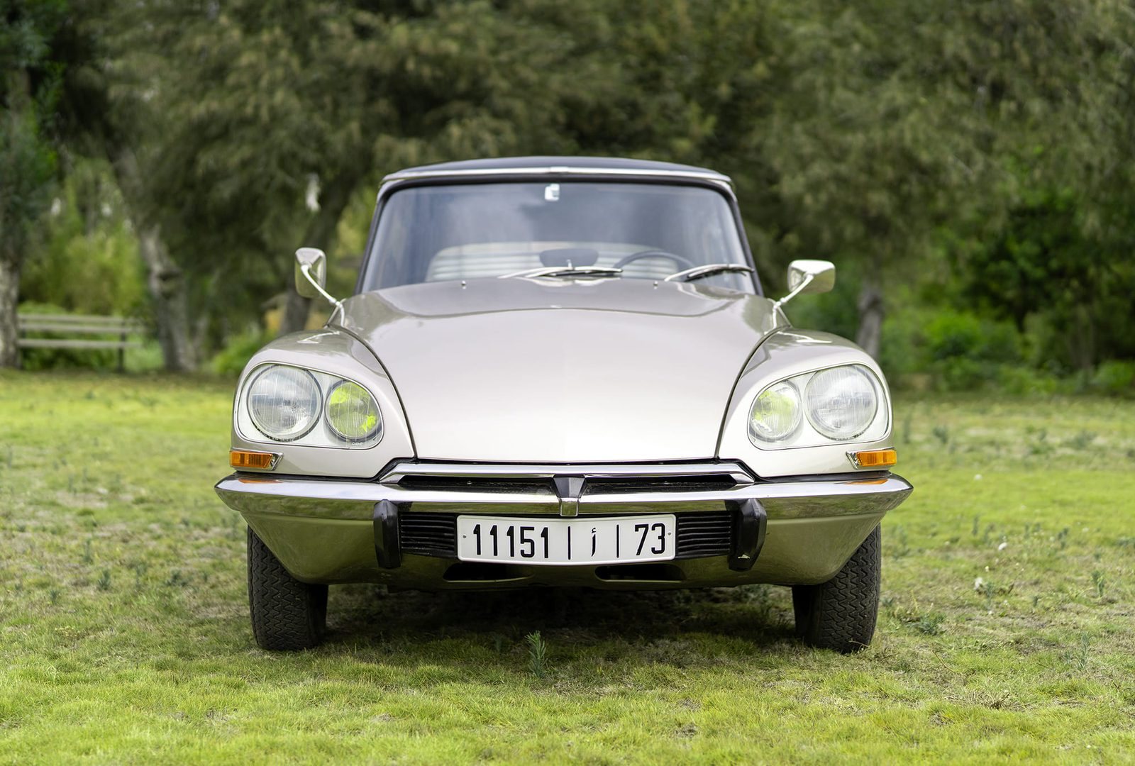 Citroën DS : face