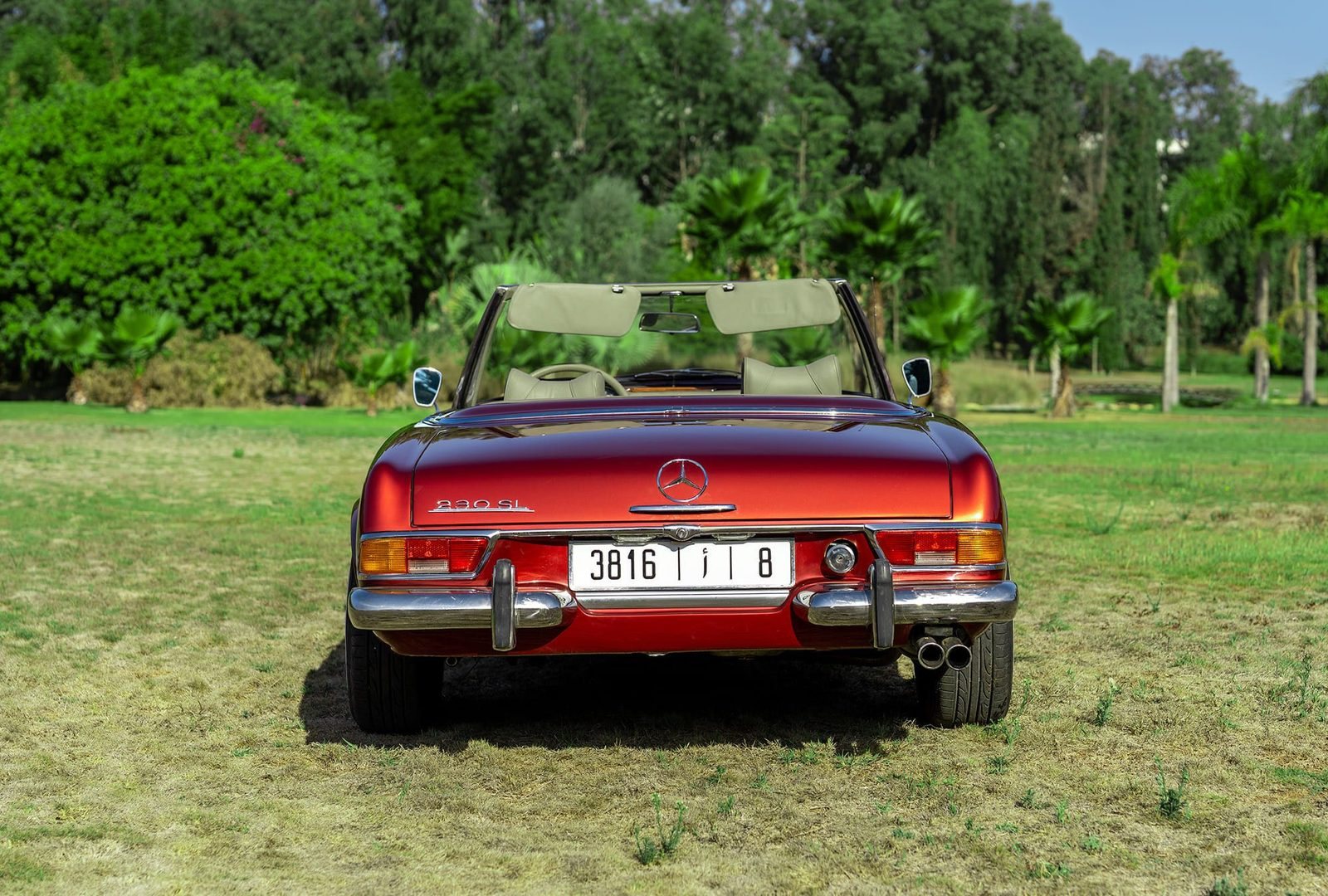 Mercedes Pagode 230 SL : arrière