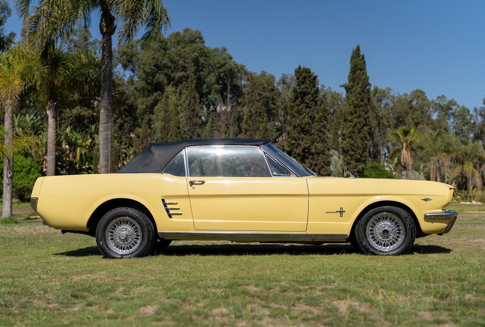 Ford Mustang : profil