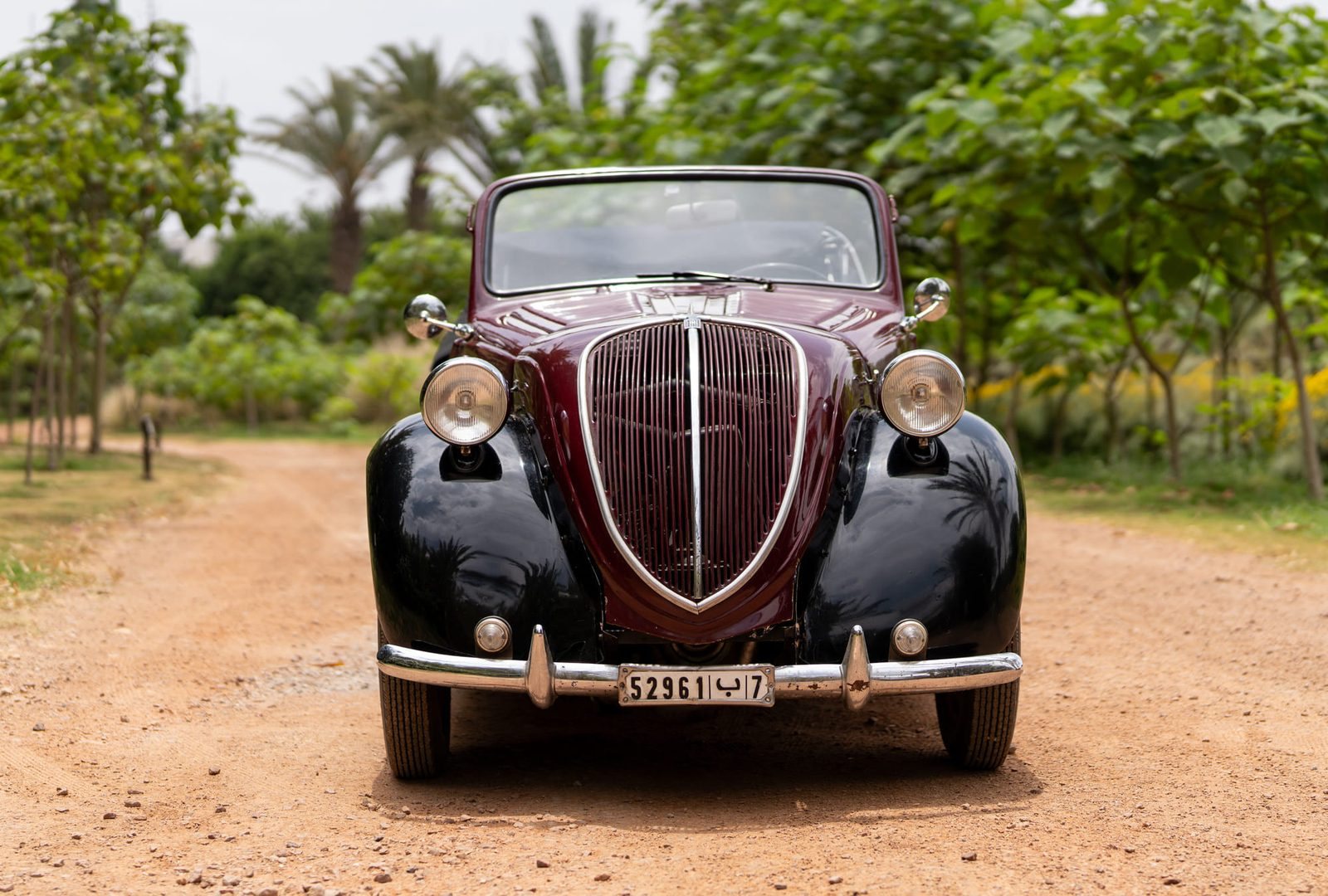 Fiat Topolino : face