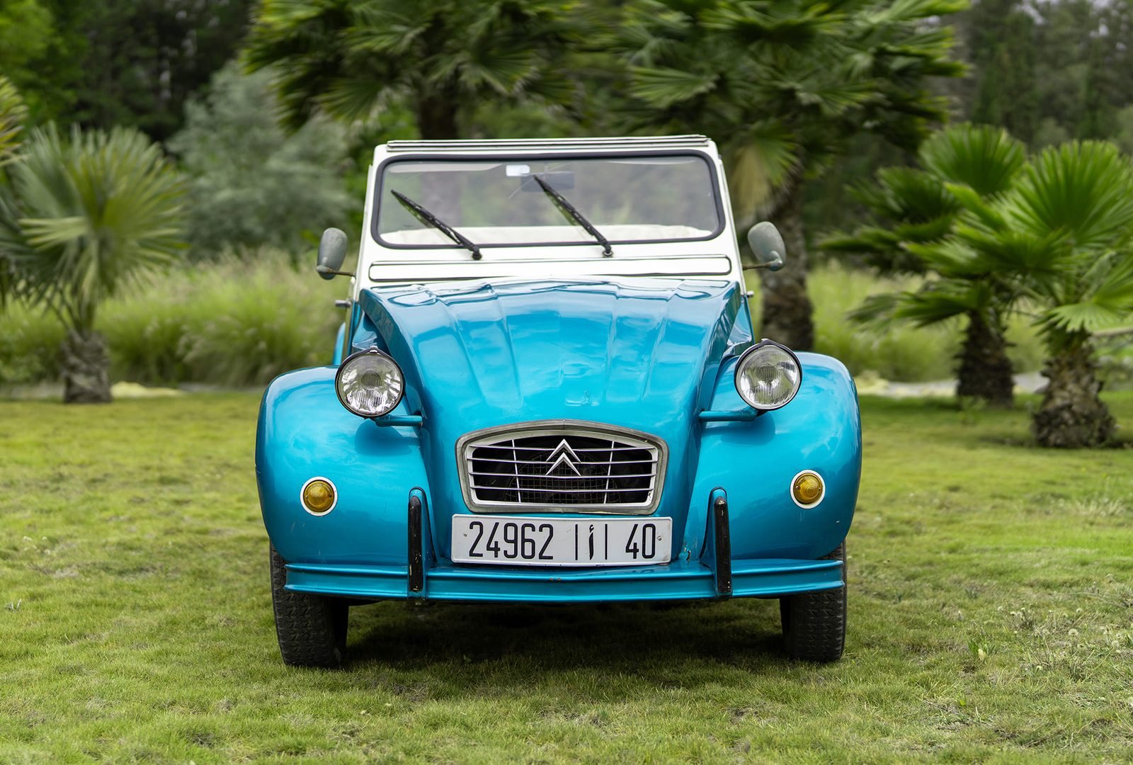 Citroën 2CV : face