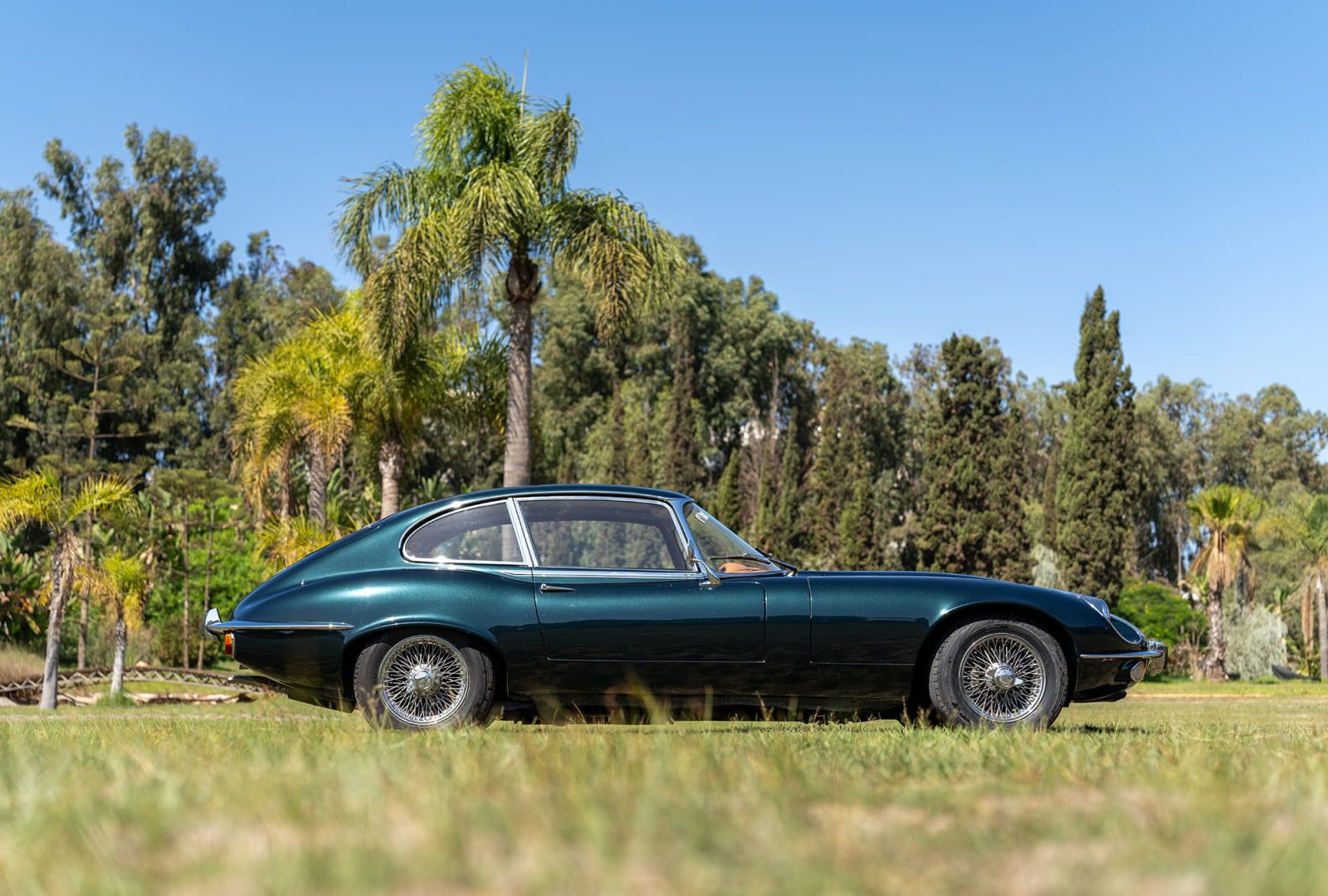 Jaguar E-Type V12 : profil