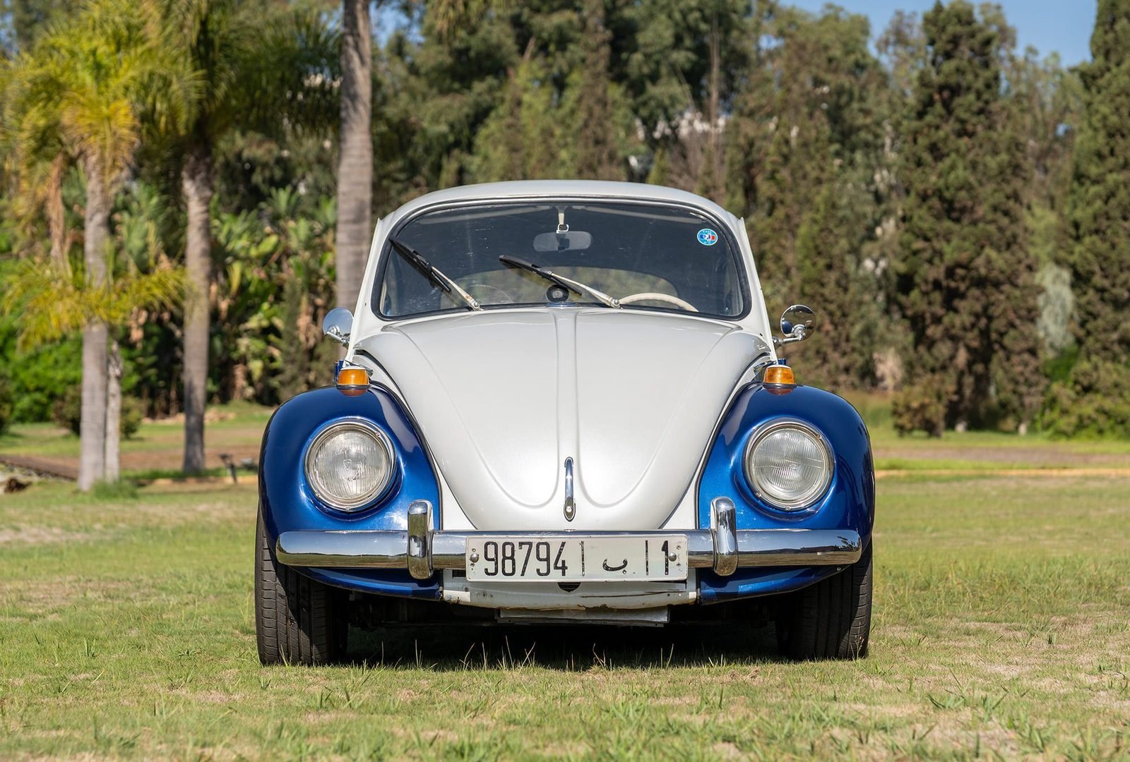 Volkswagen Coccinelle : face