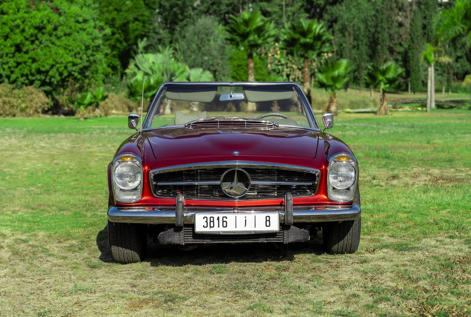 Mercedes Pagode 230 SL : face
