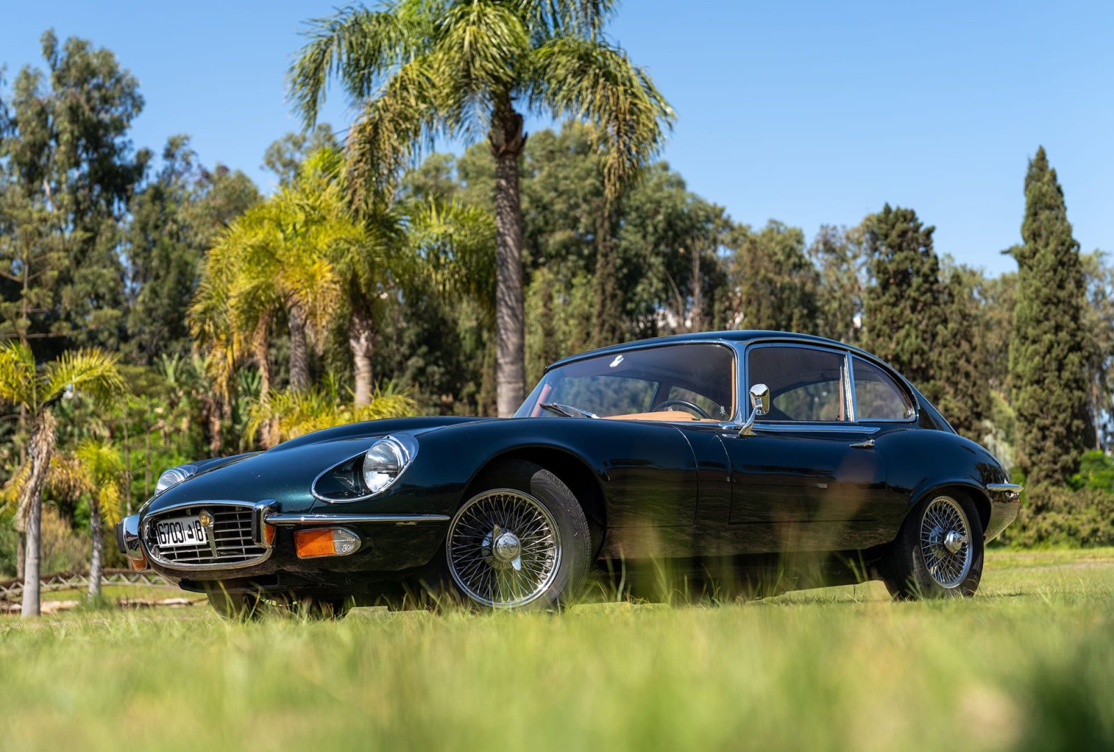 Jaguar E-Type V12