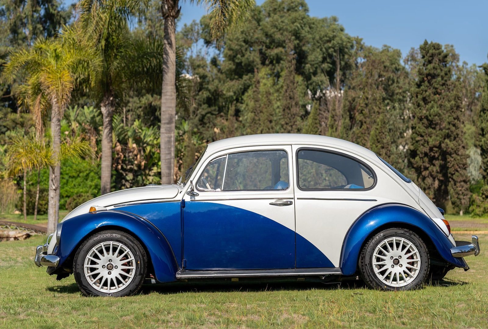 Volkswagen Coccinelle : profil